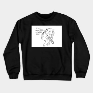 Possum Tries Their Best Crewneck Sweatshirt